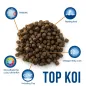 Preview: Top Koi Wachstumsfutter Koifutter Beschreibung Preview: Top Koi Wachstumsfutter Koifutter Beschreibung