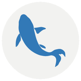 Logo für 15 Jahre Koi Erfahrung